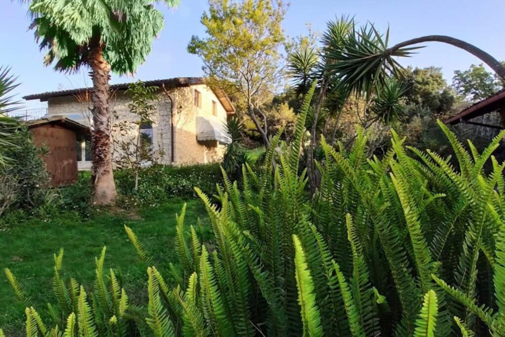 Villa Neli, Palazzolo Acreide, Siracusa, Hot Tub, Wi-Fi & Parking ภายนอก รูปภาพ